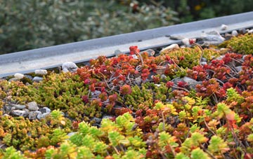 the cost of Kyre Park green roof installation