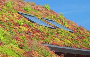 Kyre Park living roof systems